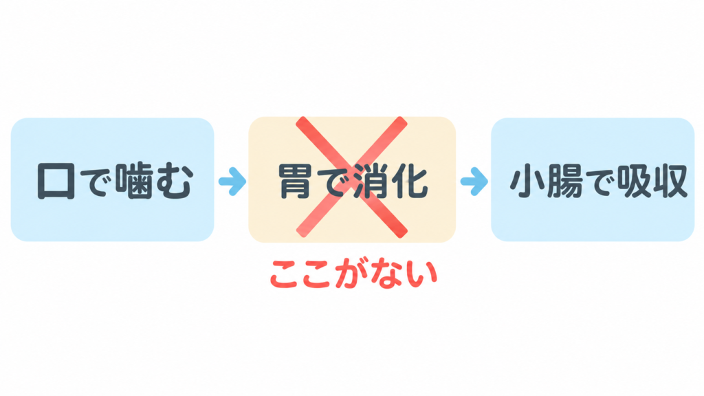 胃全摘後は胃で消化する工程がなくなることを示した図